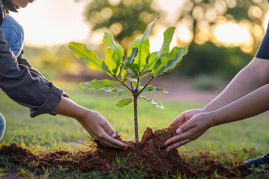Tree Plantation Campaign Held in Dhaka